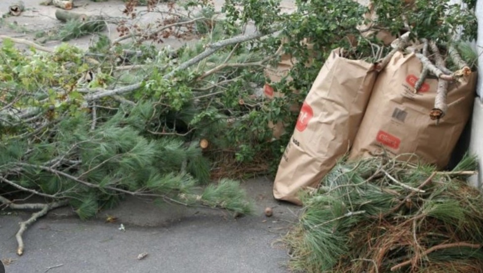 Branches and bagged yard debris ready for pickup in Middle Tennessee